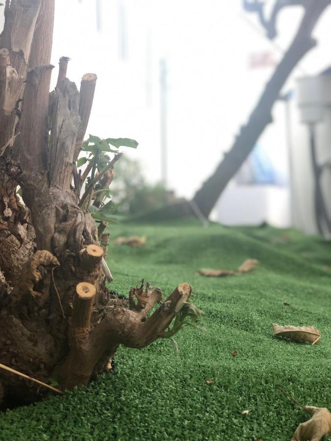 Casa Antigua La Embajada Villa Tejina Dış mekan fotoğraf