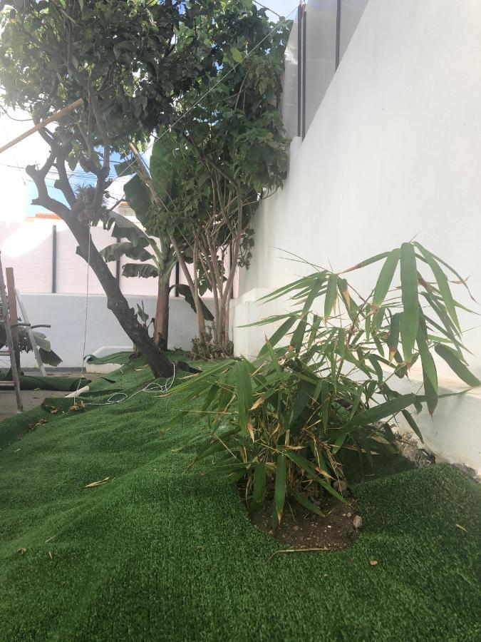 Casa Antigua La Embajada Villa Tejina Dış mekan fotoğraf