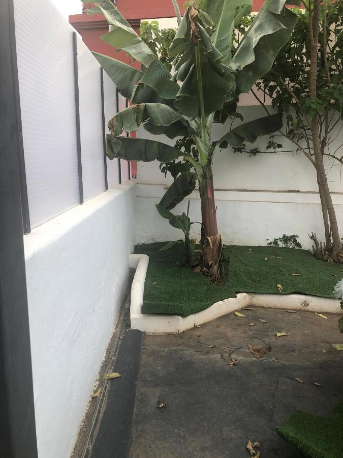 Casa Antigua La Embajada Villa Tejina Dış mekan fotoğraf